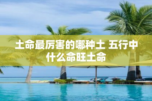 土命最厉害的哪种土 五行中什么命旺土命