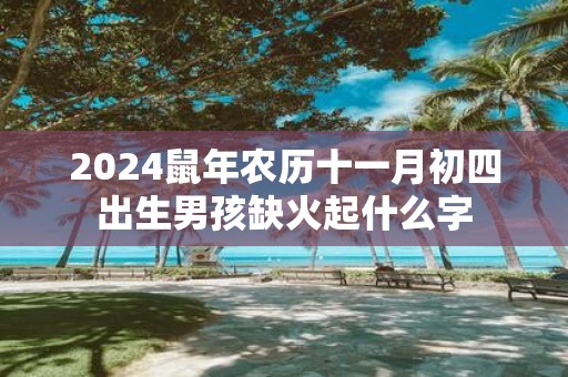 2025鼠年农历十一月初四出生男孩缺火起什么字
