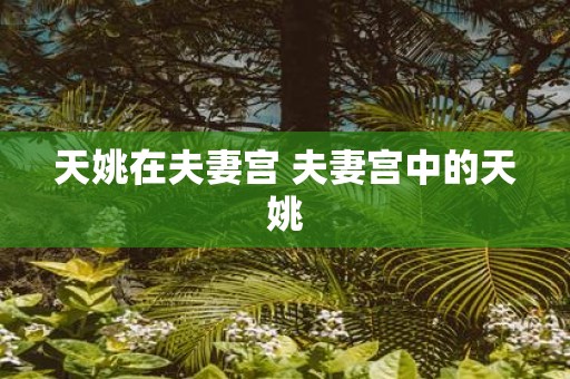天姚在夫妻宫 夫妻宫中的天姚