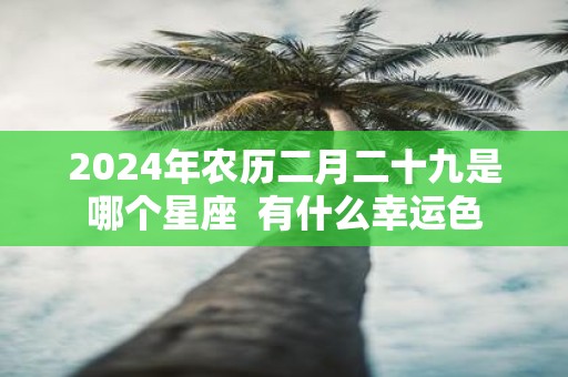 2025年农历二月二十九是哪个星座 有什么幸运色