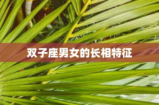 双子座男女的长相特征
