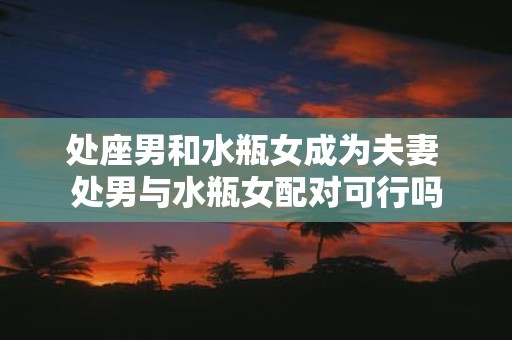 处座男和水瓶女成为夫妻 处男与水瓶女配对可行吗