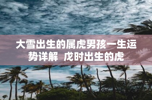 大雪出生的属虎男孩一生运势详解 戊时出生的虎