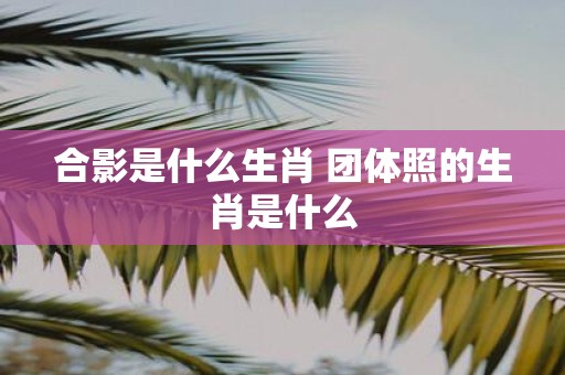 合影是什么生肖 团体照的生肖是什么