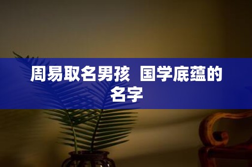 周易取名男孩 国学底蕴的名字