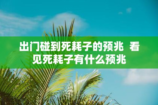 出门碰到死耗子的预兆 看见死耗子有什么预兆