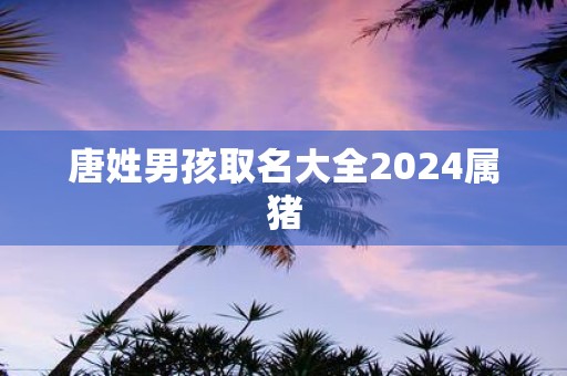 唐姓男孩取名大全2025属猪