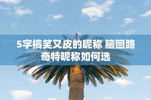 5字搞笑又皮的昵称 脑回路奇特昵称如何选