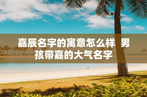 嘉辰名字的寓意怎么样 男孩带嘉的大气名字