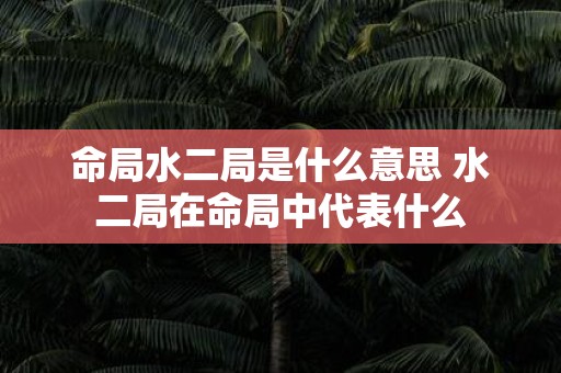 命局水二局是什么意思 水二局在命局中代表什么