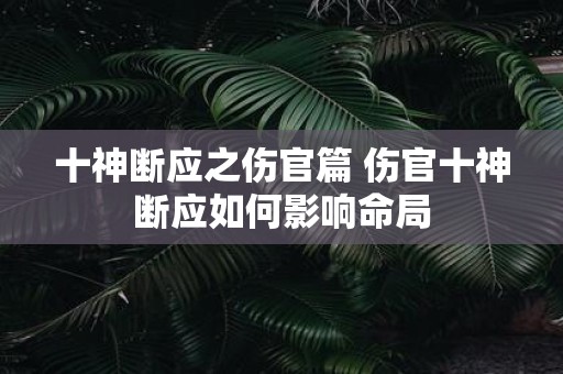 十神断应之伤官篇 伤官十神断应如何影响命局