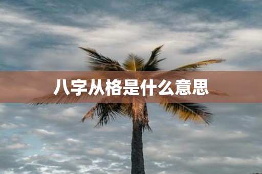 八字从格是什么意思
