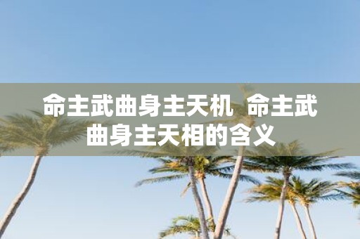 命主武曲身主天机 命主武曲身主天相的含义