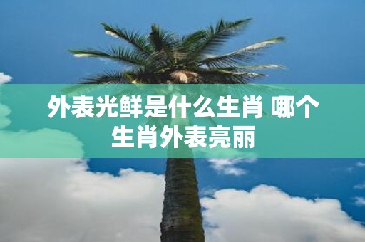 外表光鲜是什么生肖 哪个生肖外表亮丽