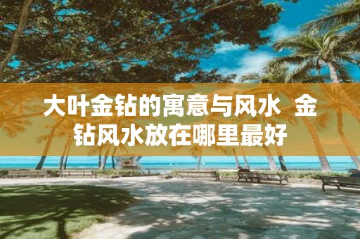 大叶金钻的寓意与风水 金钻风水放在哪里最好