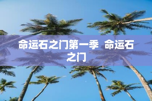 命运石之门第一季 命运石之门