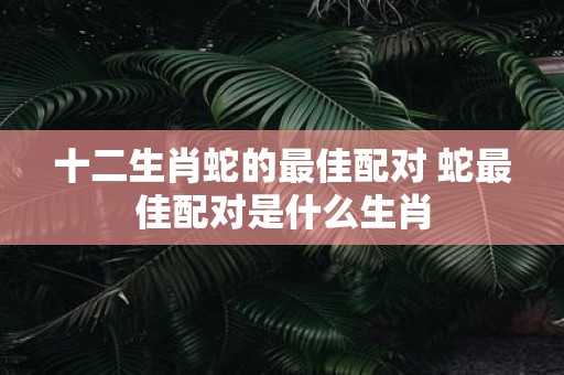十二生肖蛇的最佳配对 蛇最佳配对是什么生肖