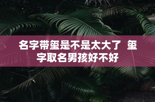 名字带玺是不是太大了 玺字取名男孩好不好