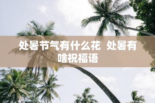 处暑节气有什么花 处暑有啥祝福语