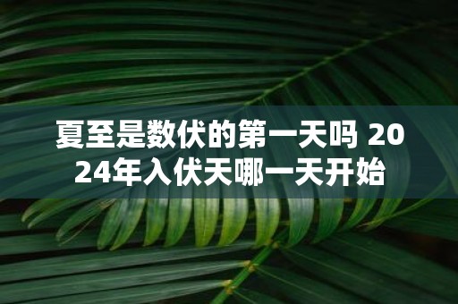 夏至是数伏的第一天吗 2025年入伏天哪一天开始
