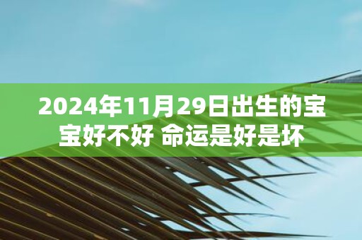 2025年11月29日出生的宝宝好不好 命运是好是坏