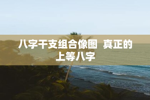 八字干支组合像图 真正的上等八字