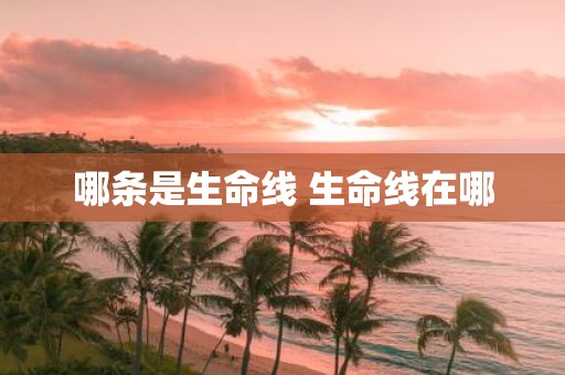 哪条是生命线 生命线在哪