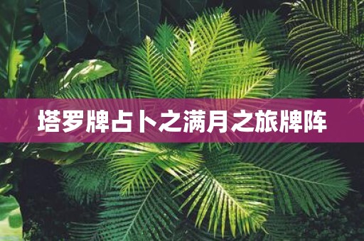 塔罗牌占卜之满月之旅牌阵