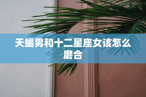 天蝎男和十二星座女该怎么磨合