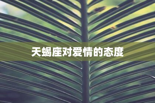 天蝎座对爱情的态度