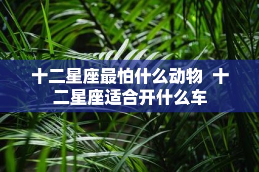 十二星座最怕什么动物 十二星座适合开什么车