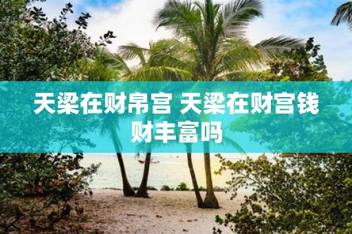天梁在财帛宫 天梁在财宫钱财丰富吗
