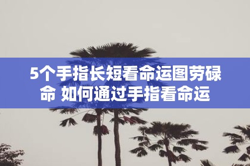 5个手指长短看命运图劳碌命 如何通过手指看命运