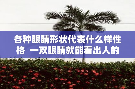 各种眼睛形状代表什么样性格 一双眼睛就能看出人的性格