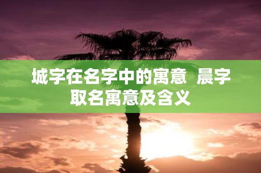 城字在名字中的寓意 晨字取名寓意及含义