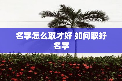 名字怎么取才好 如何取好名字