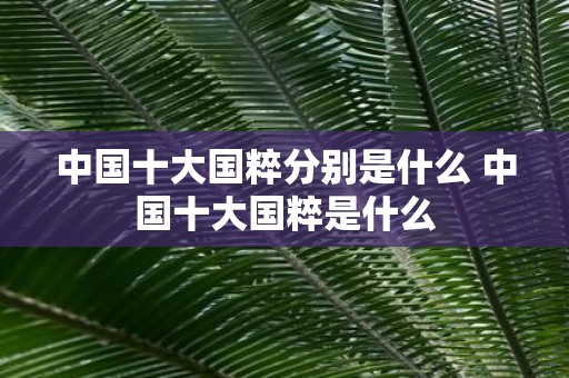 中国十大国粹分别是什么 中国十大国粹是什么