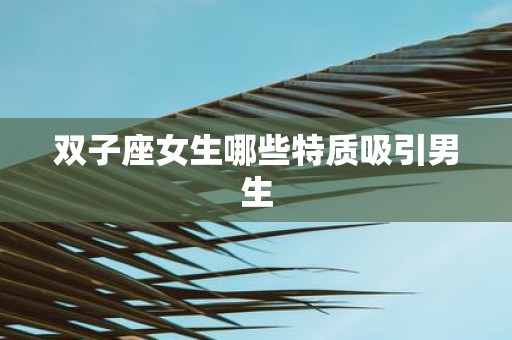 双子座女生哪些特质吸引男生