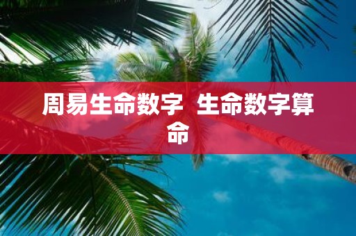 周易生命数字 生命数字算命