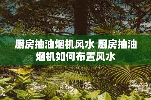 厨房抽油烟机风水 厨房抽油烟机如何布置风水