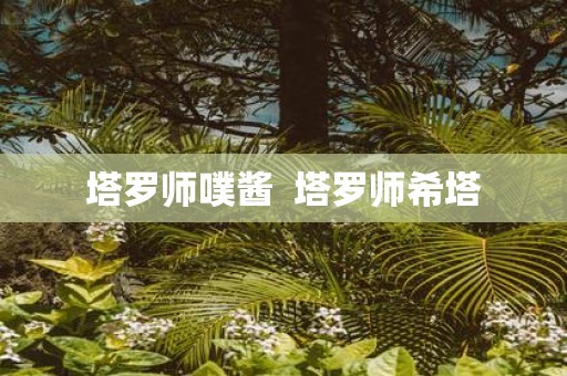 塔罗师噗酱 塔罗师希塔