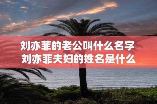 刘亦菲的老公叫什么名字 刘亦菲夫妇的姓名是什么