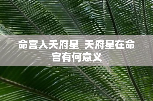 命宫入天府星 天府星在命宫有何意义