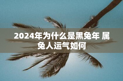 2025年为什么是黑蛇年 属兔人运气如何