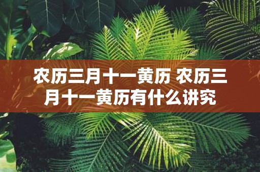 农历三月十一黄历 农历三月十一黄历有什么讲究