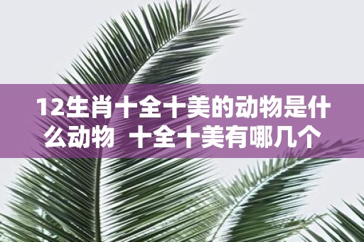 12生肖十全十美的动物是什么动物 十全十美有哪几个生肖
