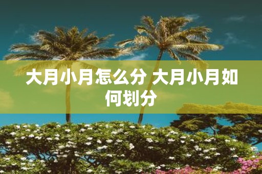 大月小月怎么分 大月小月如何划分