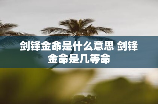 剑锋金命是什么意思 剑锋金命是几等命