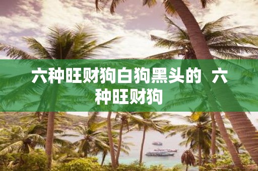六种旺财狗白狗黑头的 六种旺财狗