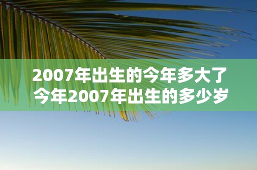 2007年出生的今年多大了 今年2007年出生的多少岁